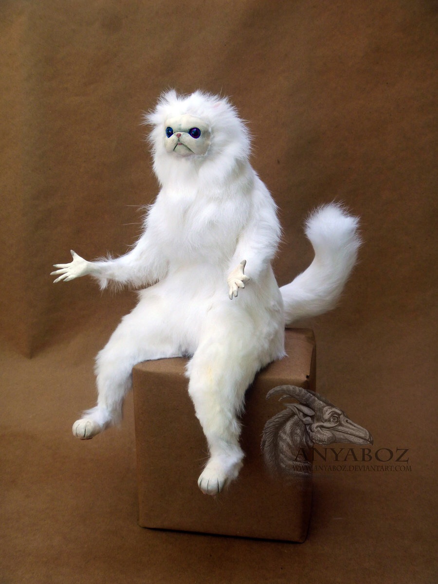 Persian Cat Room Guardian Single Meme Template