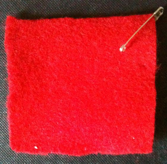 2012 Quebec Student Protests