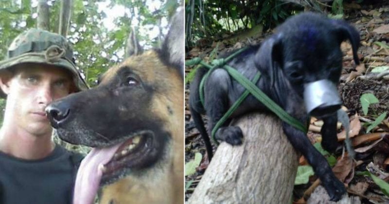 2018 Zoosadism Scandal