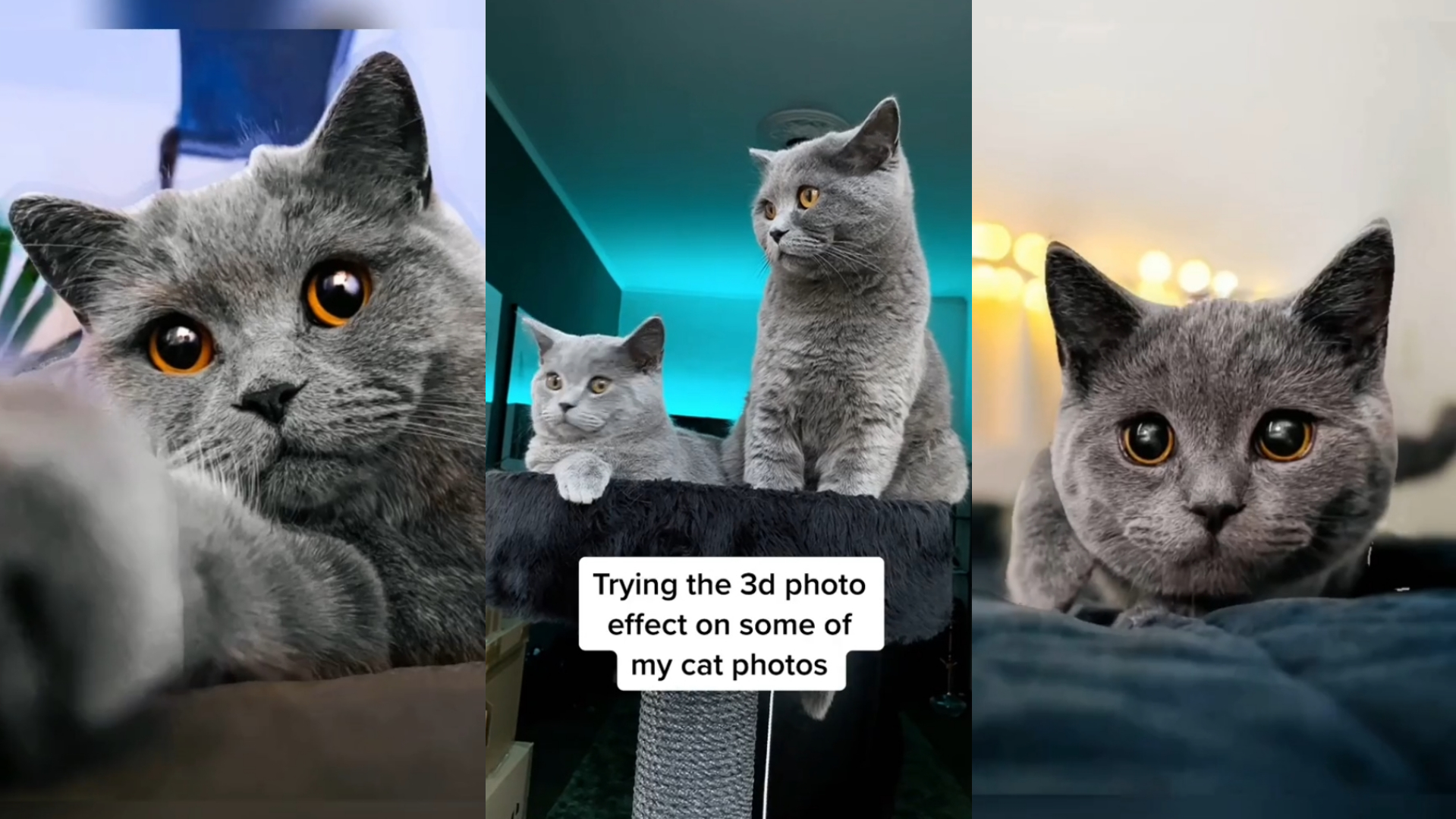 3D Photo Trend / Phonky Town