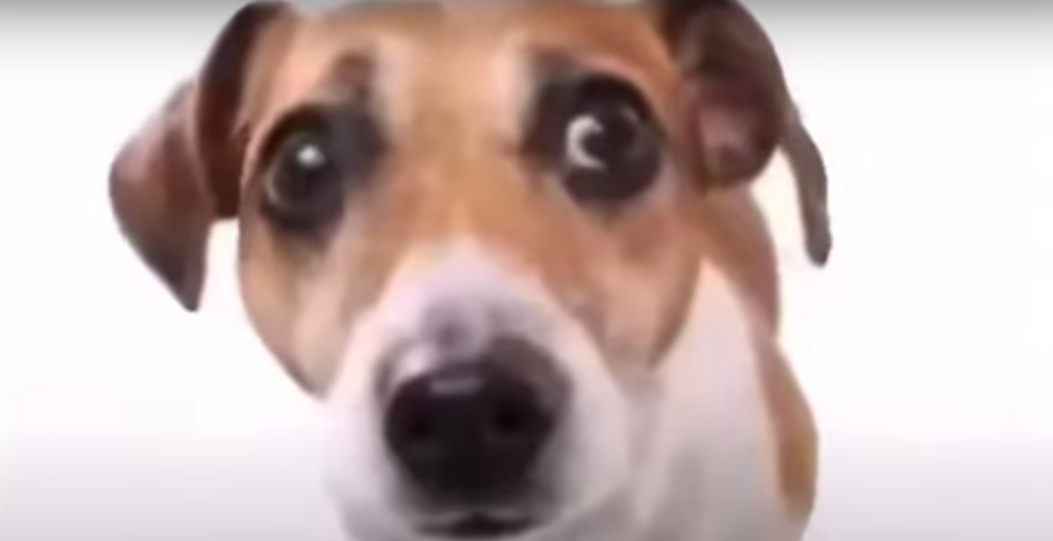 A A Folou / A A Follow Meme Template