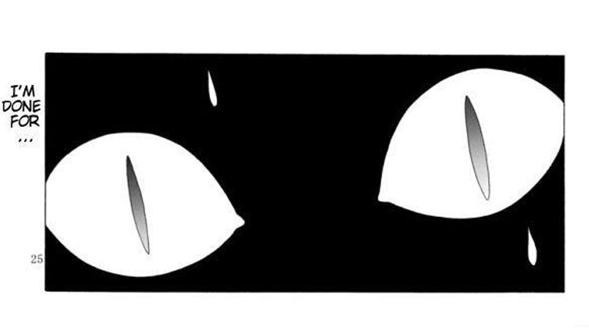 A Cat Is Fine Too Meme Template