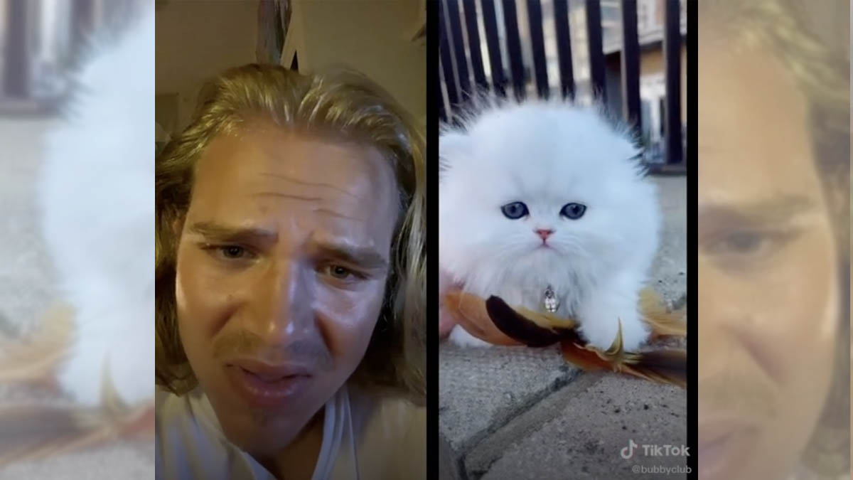 A Dubious Little Creature Getting Up To Mischief