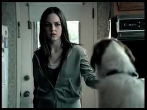 Above the Influence Talking Dog PSA