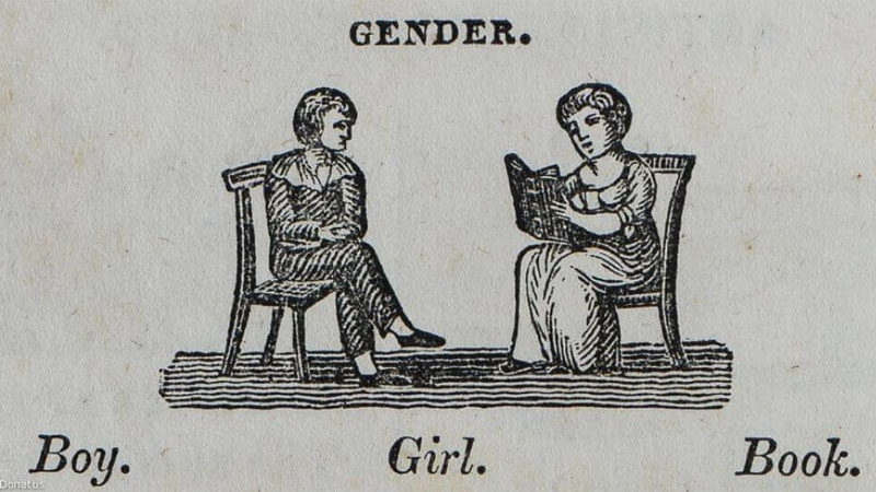 "Ah Yes The Three Genders"