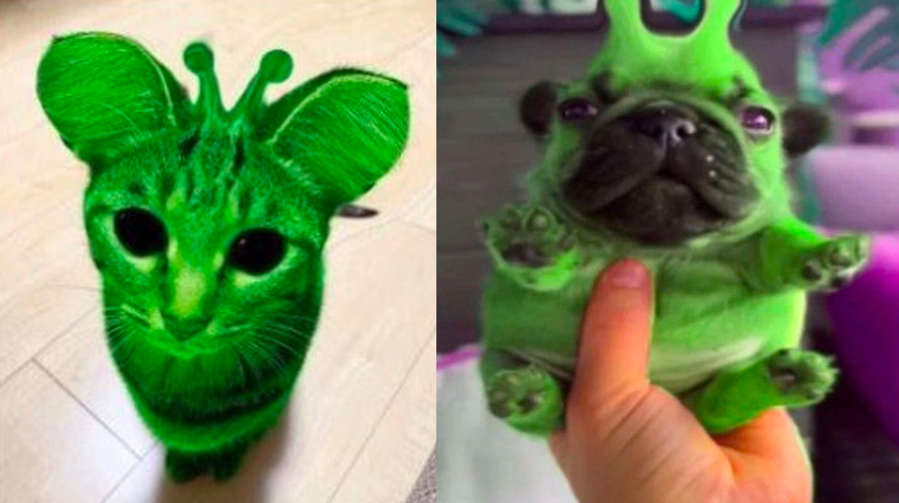 Alienposting / Zeep Glorp Meme Template