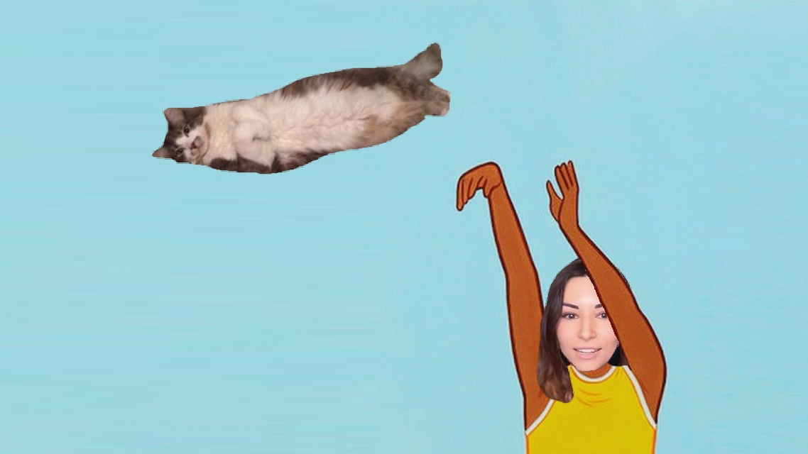 Alinity Cat Abuse