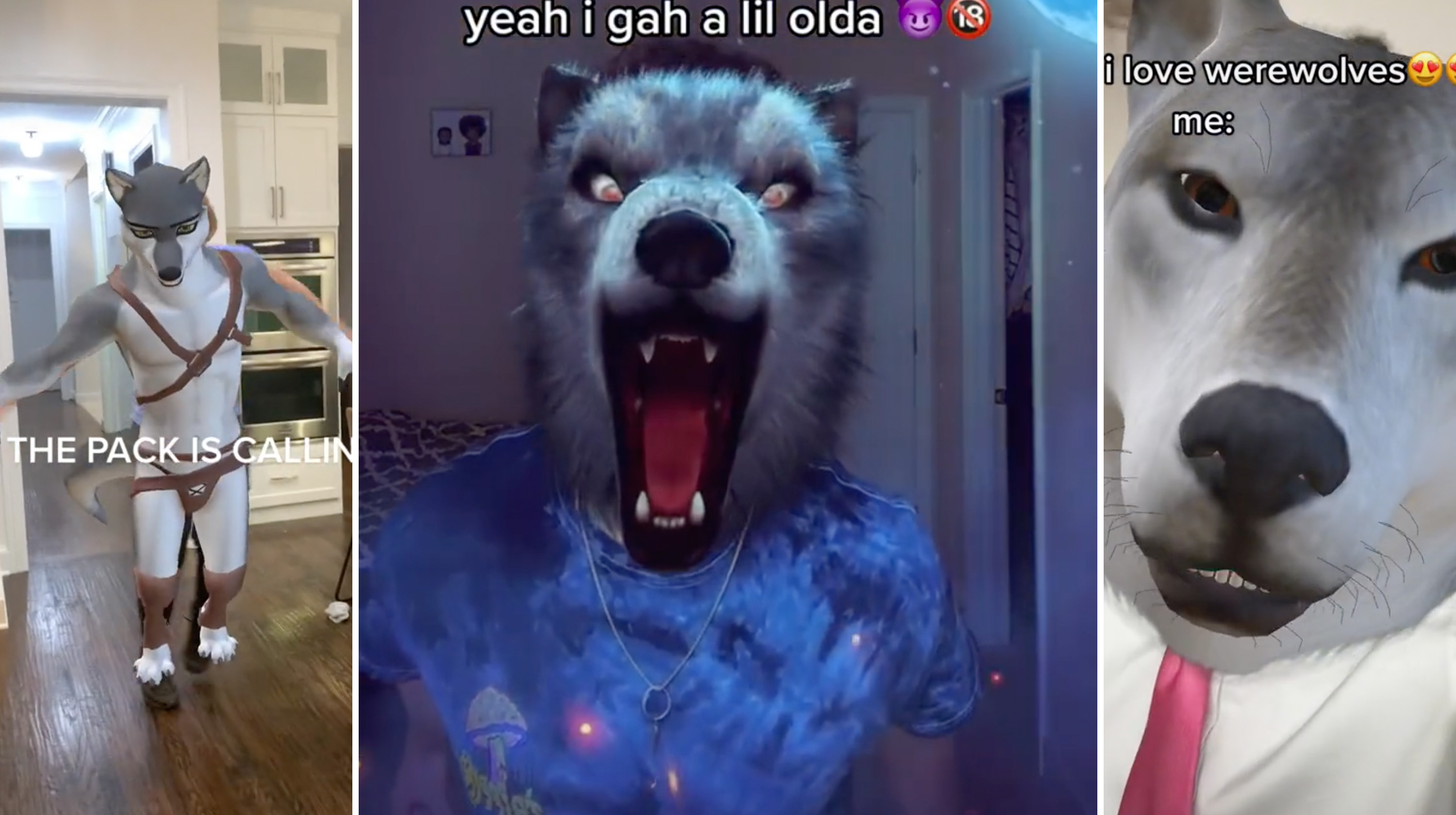 Alpha Werewolf Transformation (TikTok Filter) Meme Template
