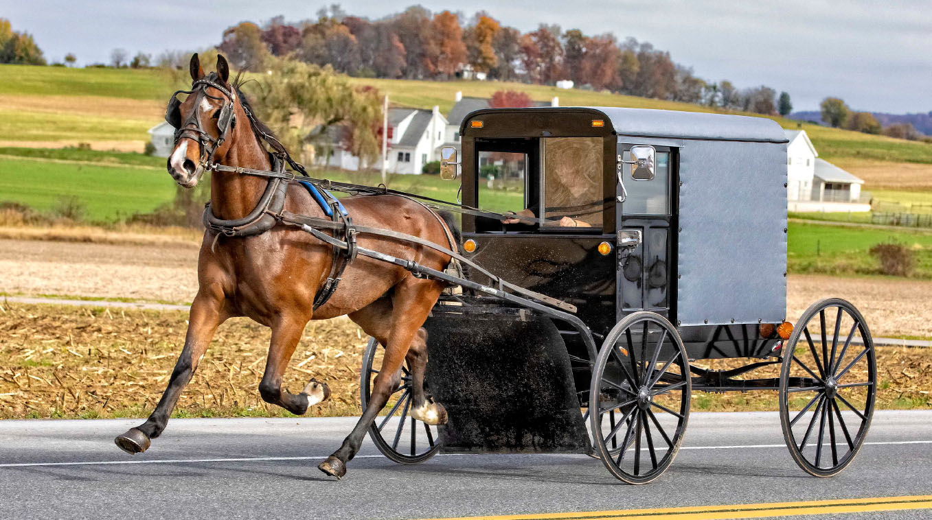 Amish Oil Change