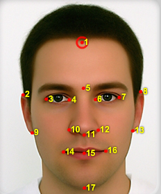 Anaface Meme Template