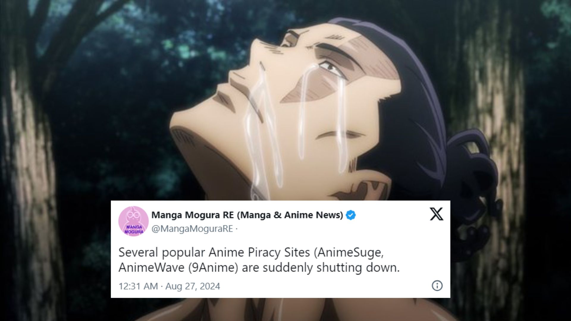 AniWave Shutdown / 2024 Anime Piracy Sites Shutdown