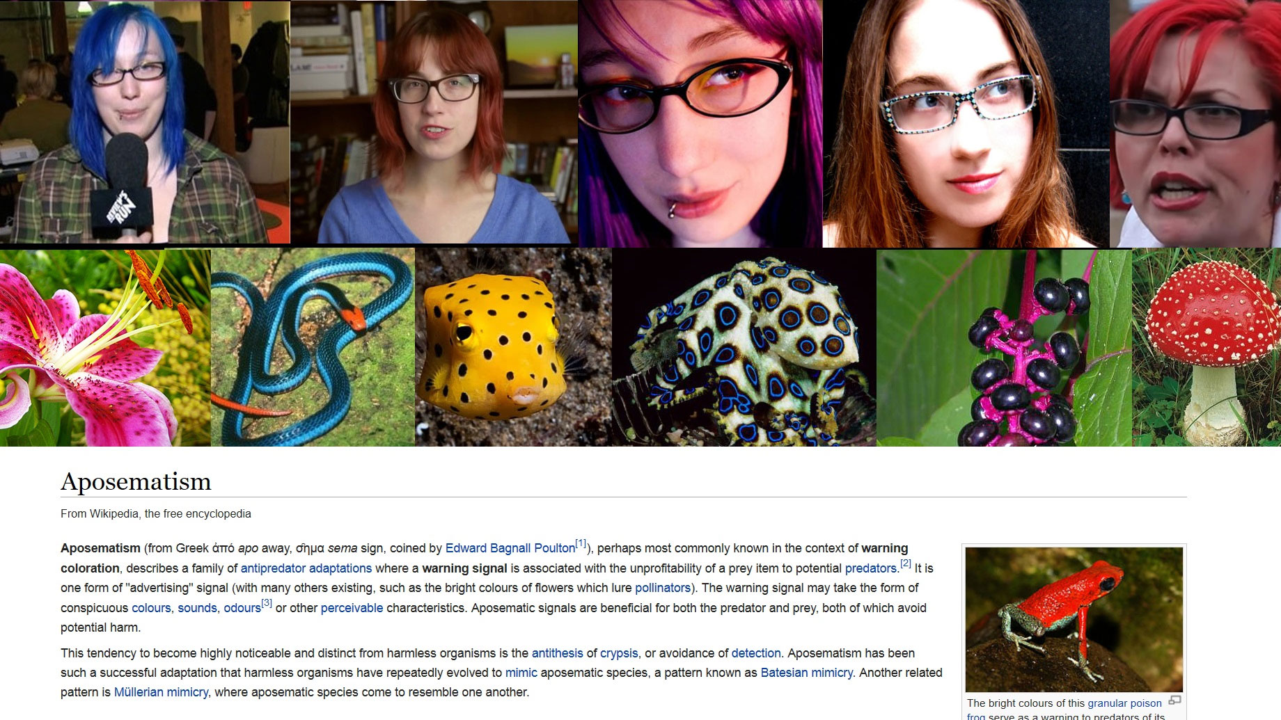 Aposematic Hair Color Meme Template