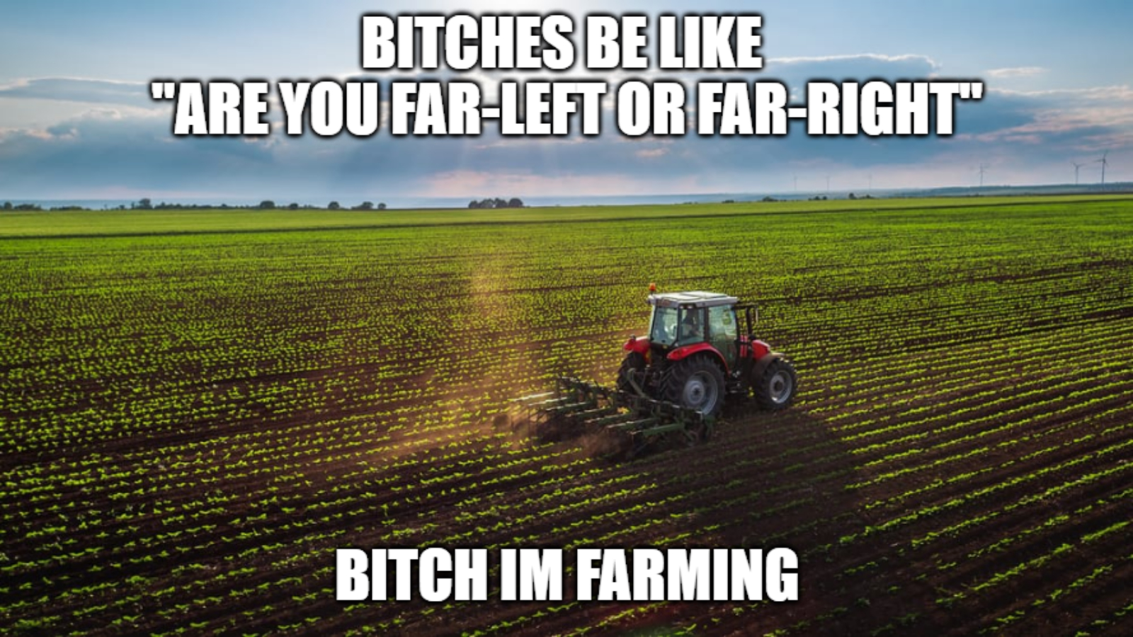 Are You Far-Left or Far-Right Meme Template