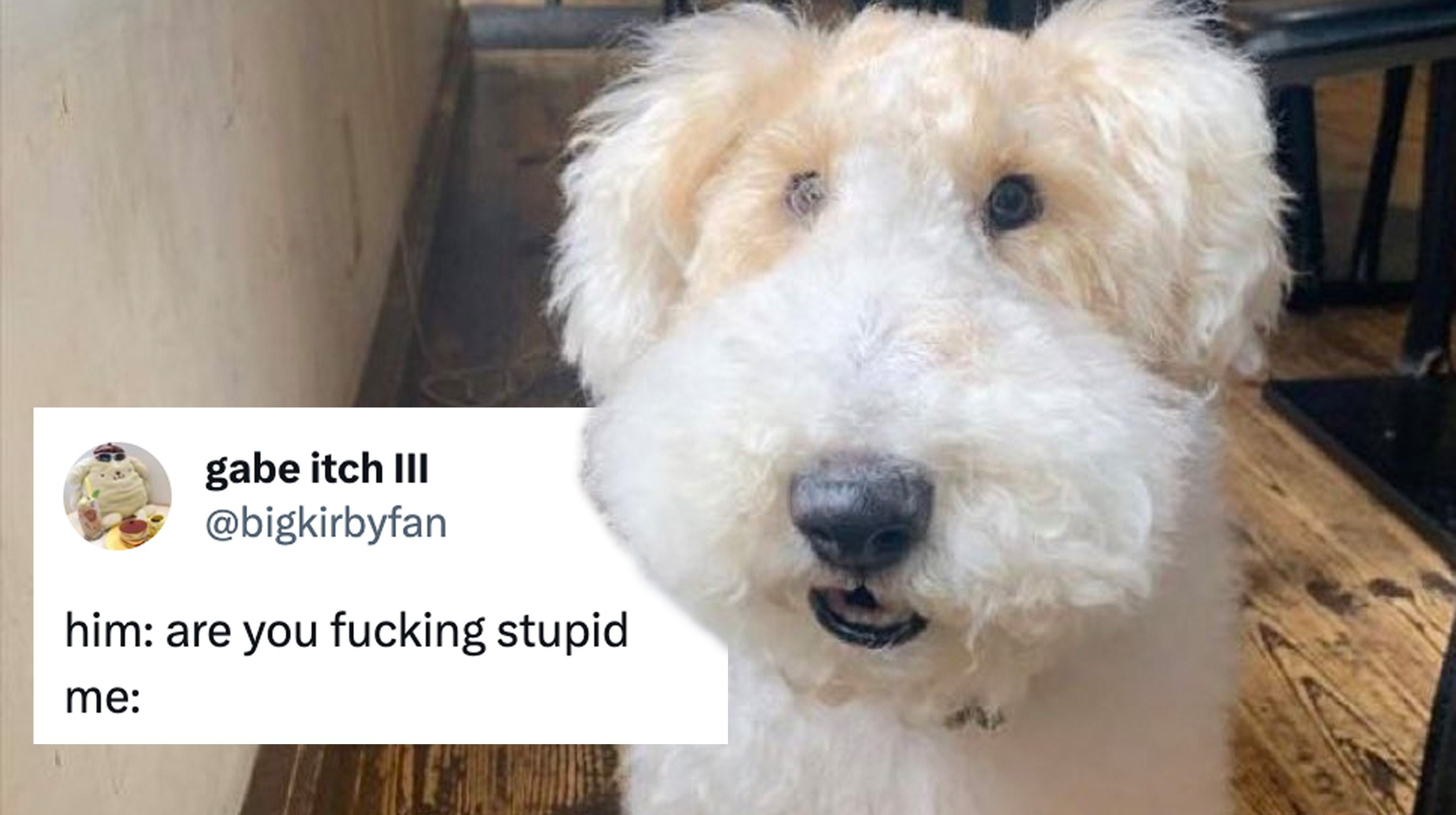 Are You Fucking Stupid? Me: