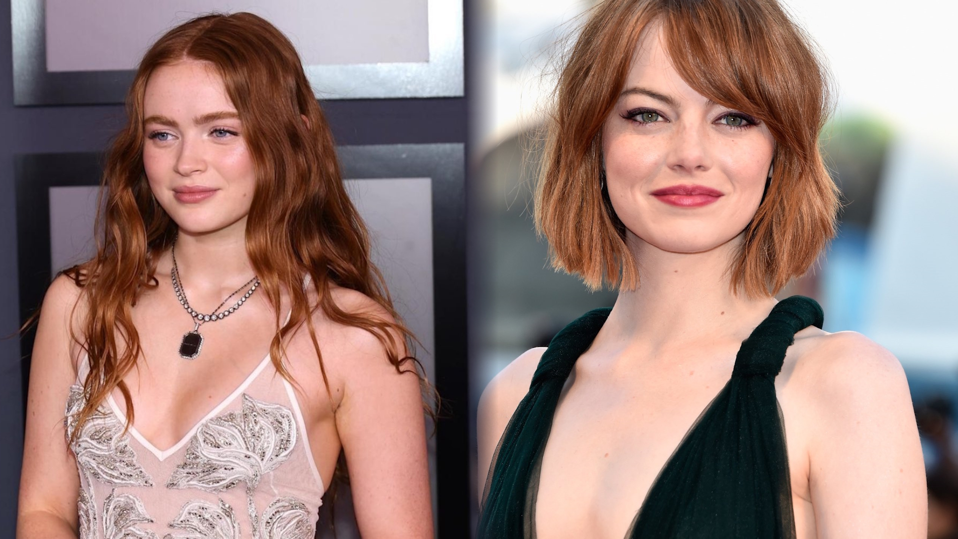 Aristocratic Elegance of the Small Breasted Woman Meme Template