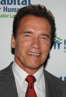 Arnold Schwarzenegger Meme Template