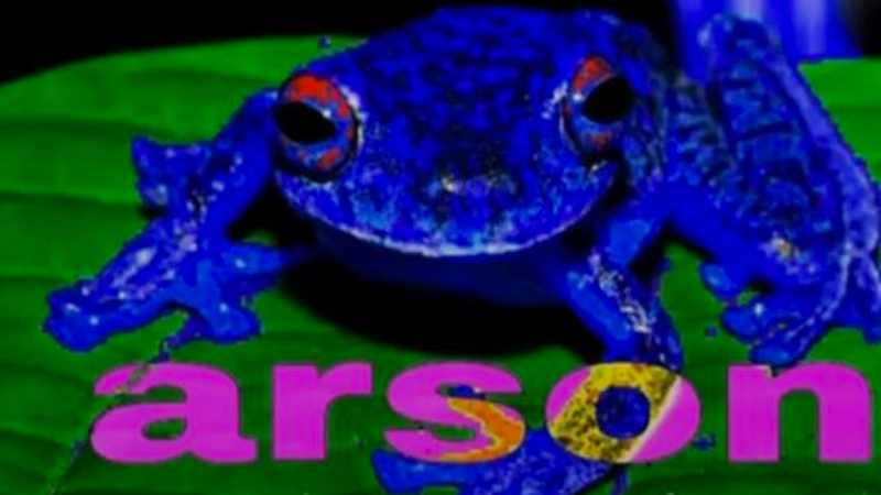 Arson Frog