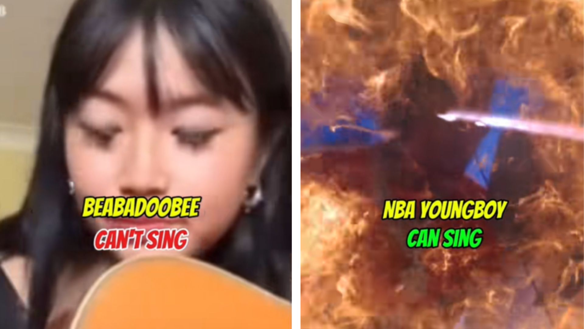 Artists Who Can Sing Vs. Artists Who Can't Sing Meme Template