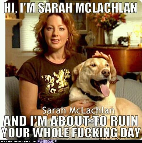 ASPCA Commercial Parodies Meme Template