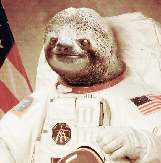 Astronaut Sloth Meme Template