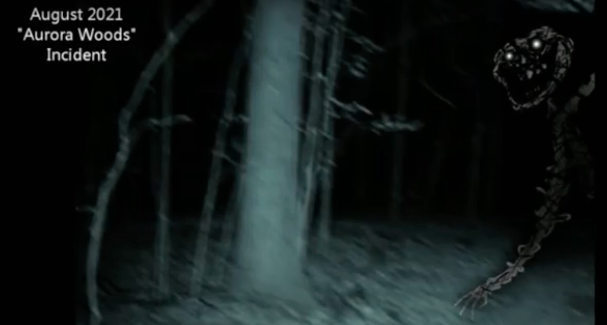 Aurora Woods Incident Meme Template