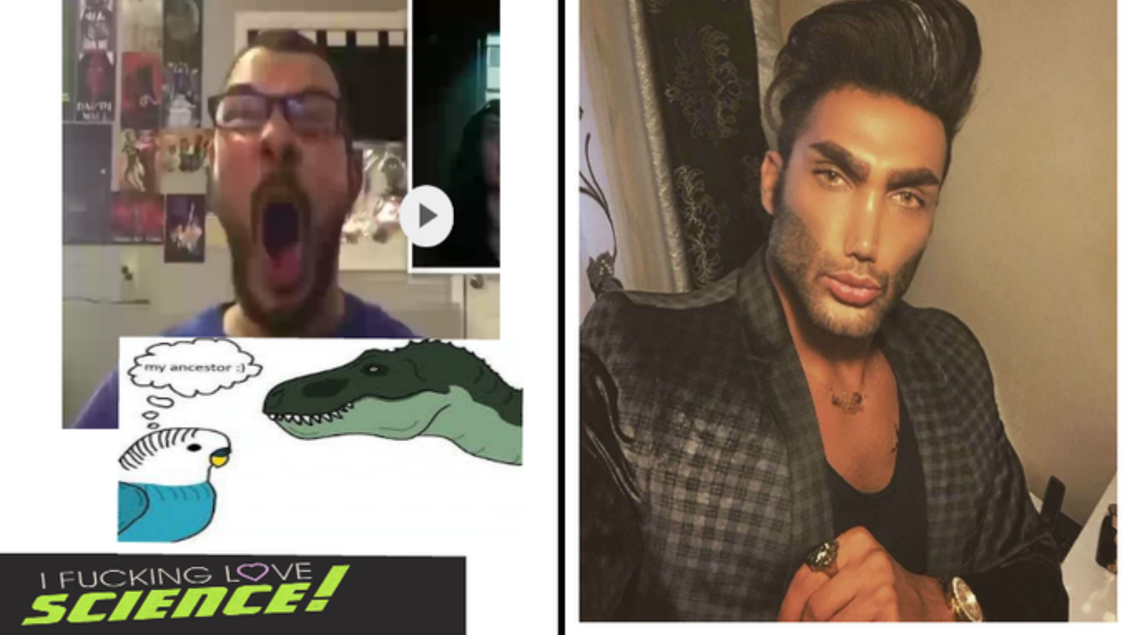 Average Fan vs. Average Enjoyer Meme Template