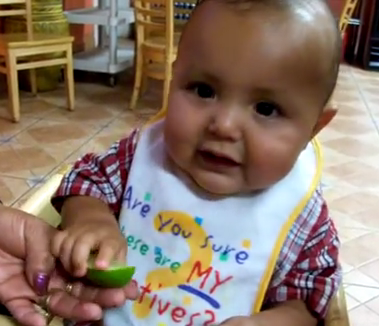 Babies Eating Lemons