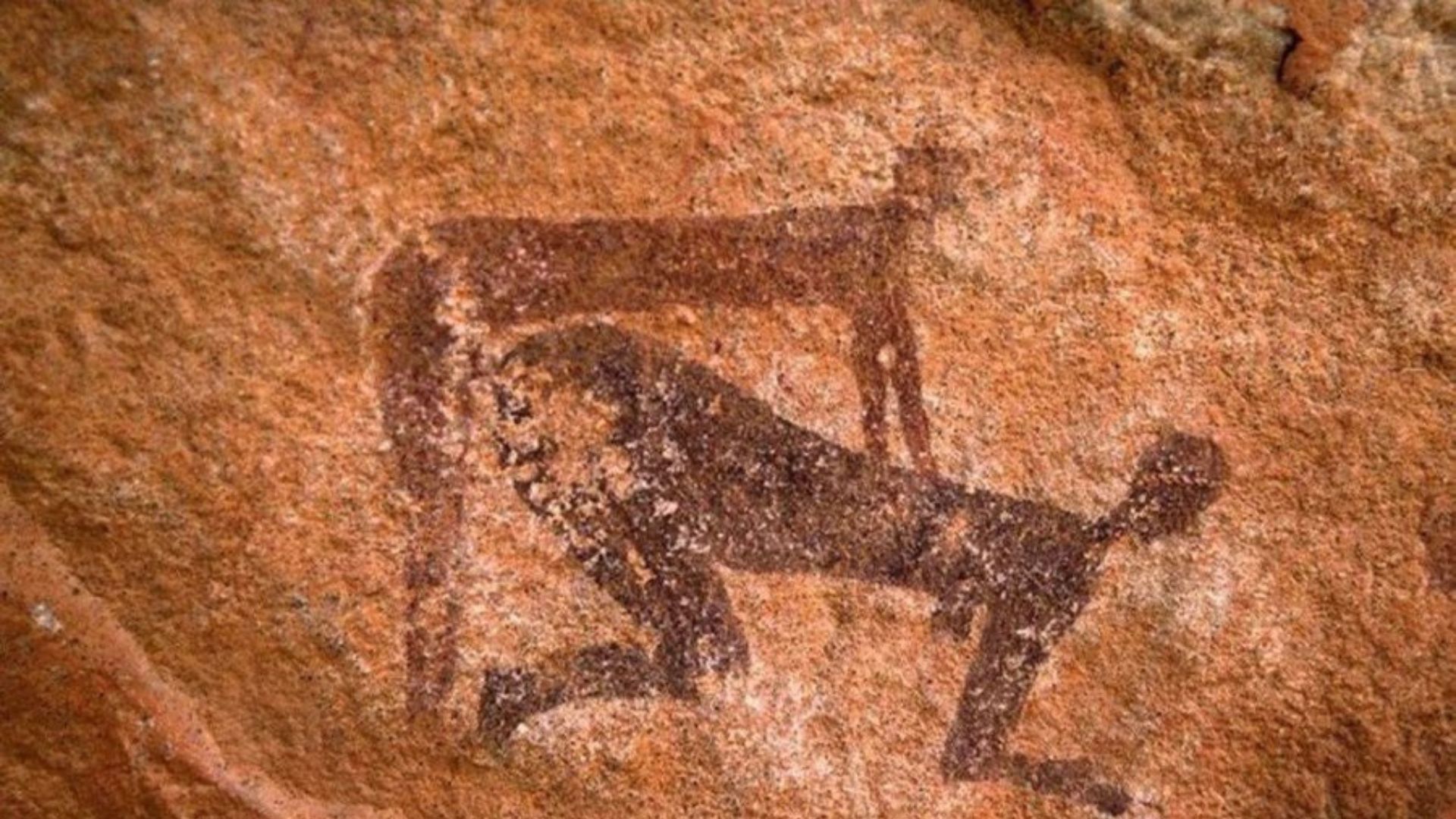 Backshots Cave Painting / Backshots Are Truly Generational