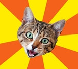 Bad Advice Cat