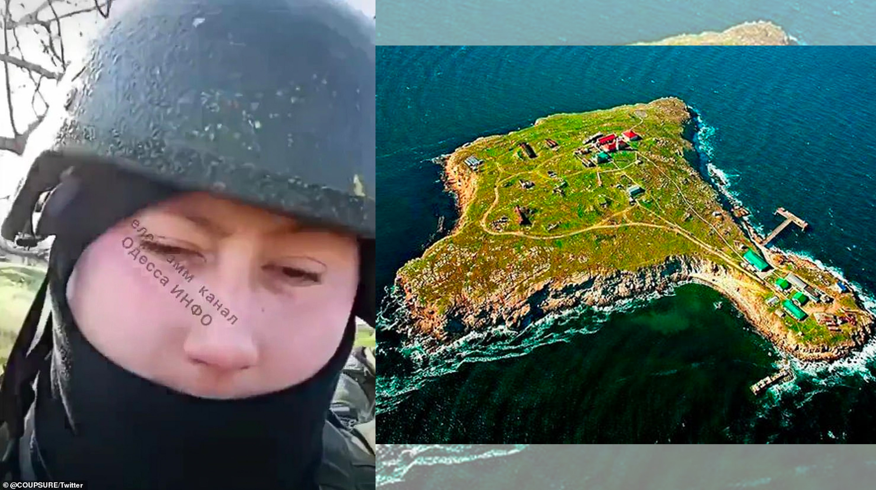 Battle of Snake Island