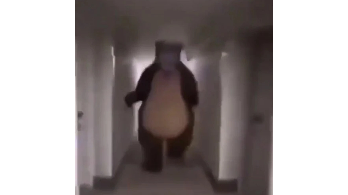 Bear Chasing Person Down Hall Meme Template