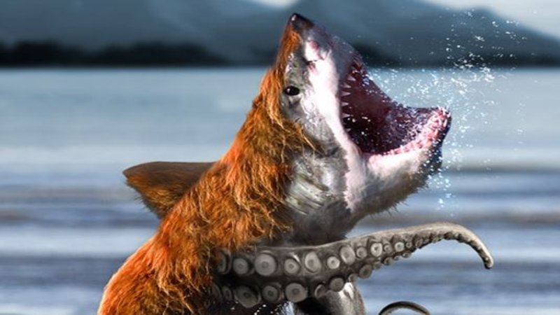 Bearsharktopus