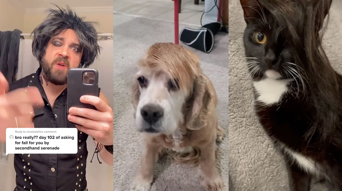 Because Tonight Will Be The Night That I Will Fall For You Meme Template