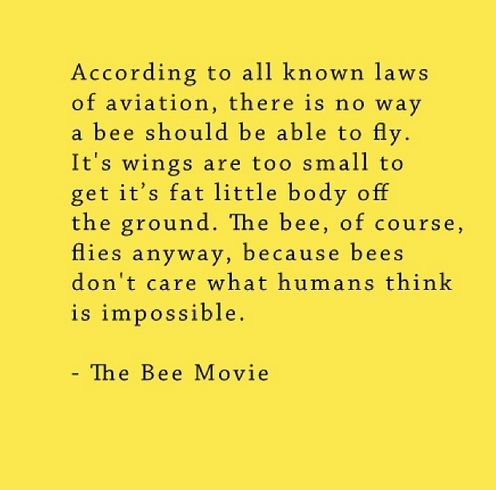 Bee Movie Script / According To All Known Laws Of Aviation Meme Template