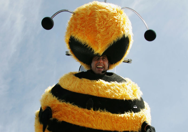 Bees Are Dying at an Alarming Rate Meme Template