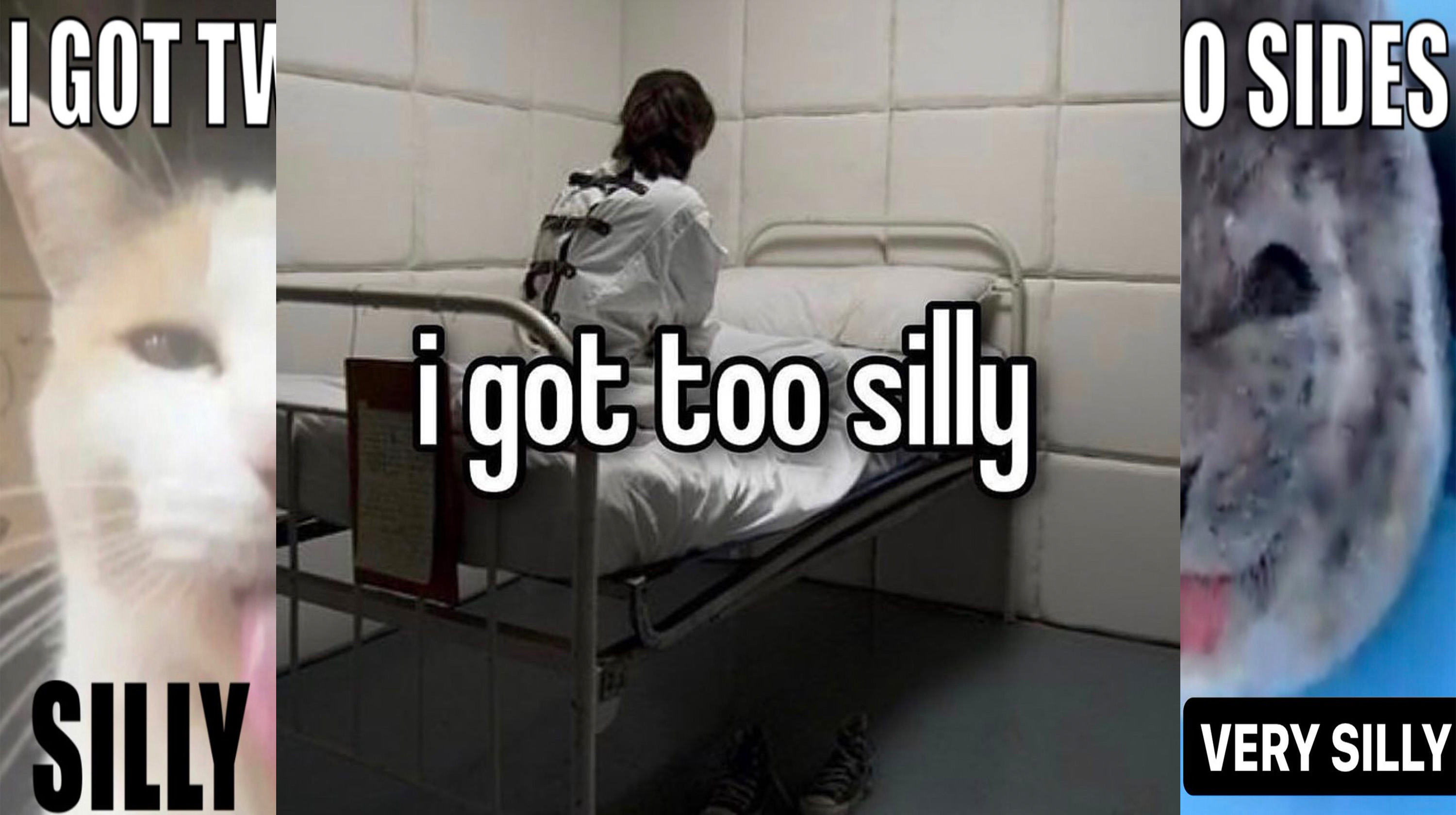 Being Silly / Too Silly Meme Template