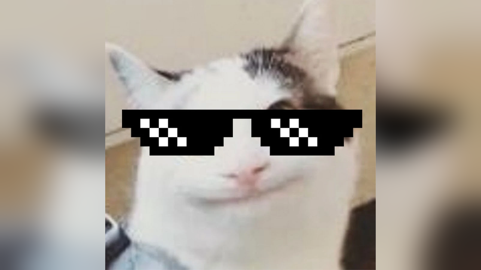 Beluga Meme Template