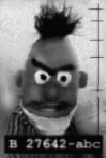 Bert Is Evil! Meme Template
