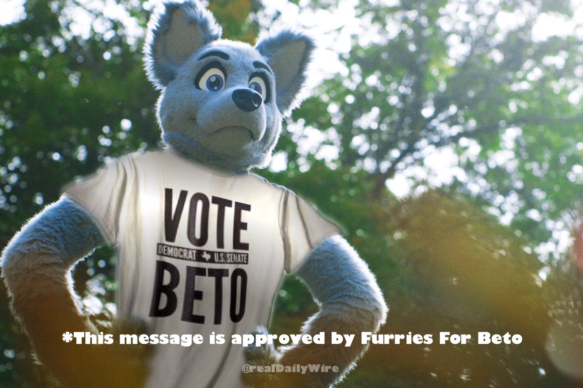 Beto Is a Furry Meme Template
