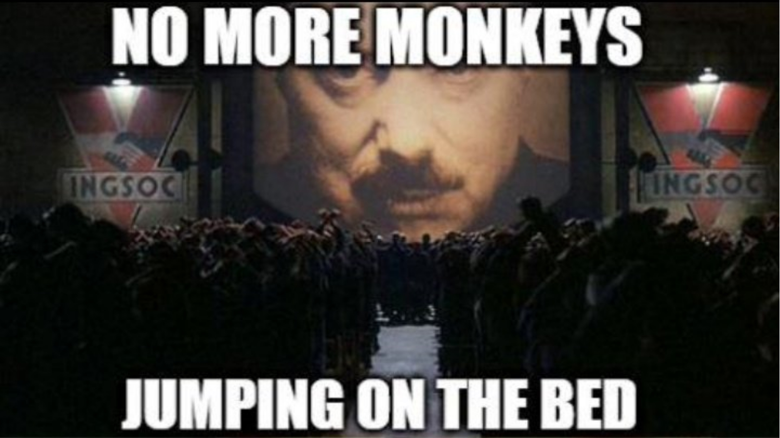 Big Brother Orders / 1984 GIF