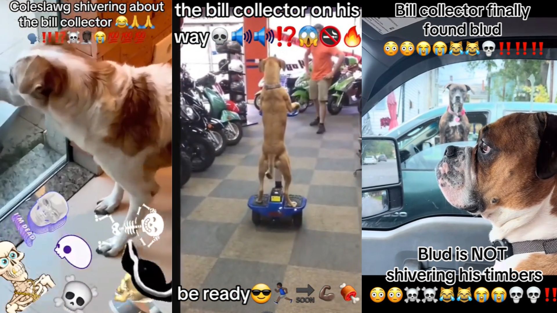 Bill Collector Meme Template