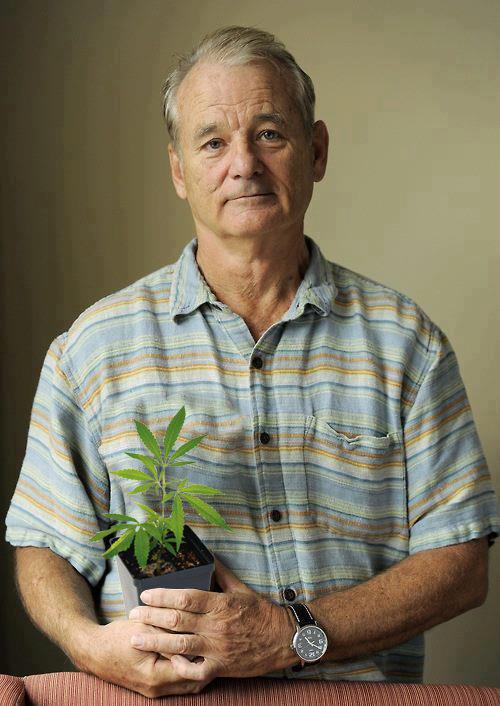 Bill Murray Meme Template