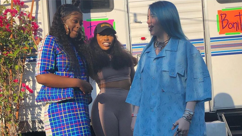 Billie Eilish in an Oversized Blue Shirt Meme Template