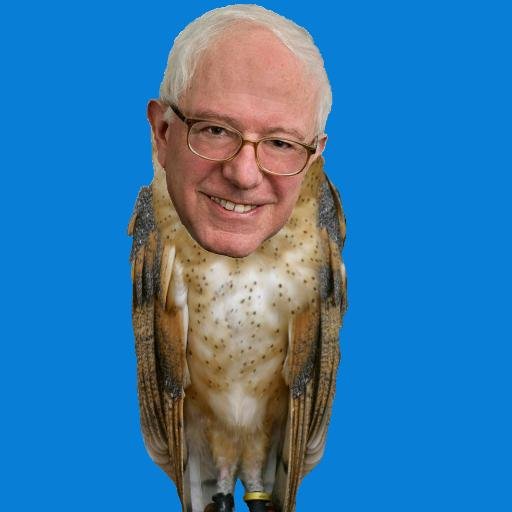 Birdie Sanders