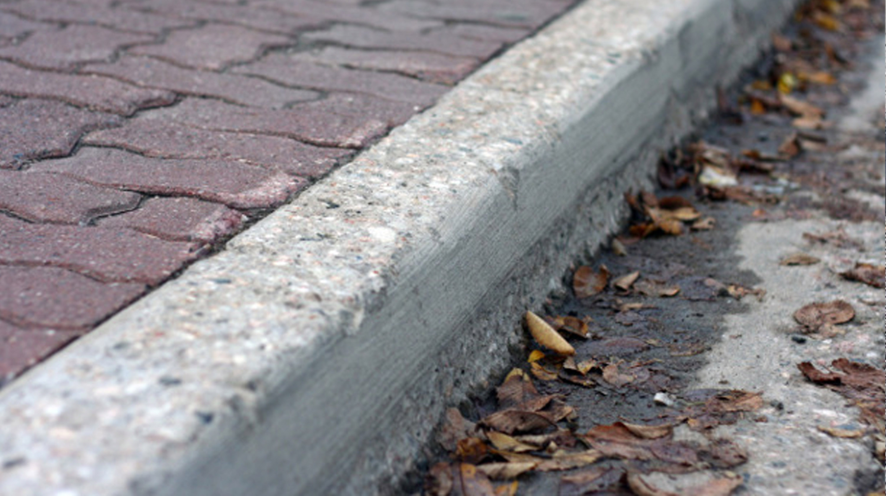 Bite the Curb / Bite the Curb Video