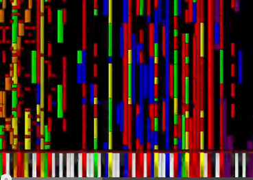 Black MIDI Meme Template