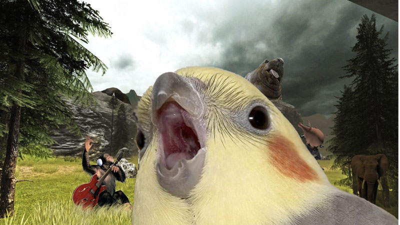 Blockatiel Meme Template