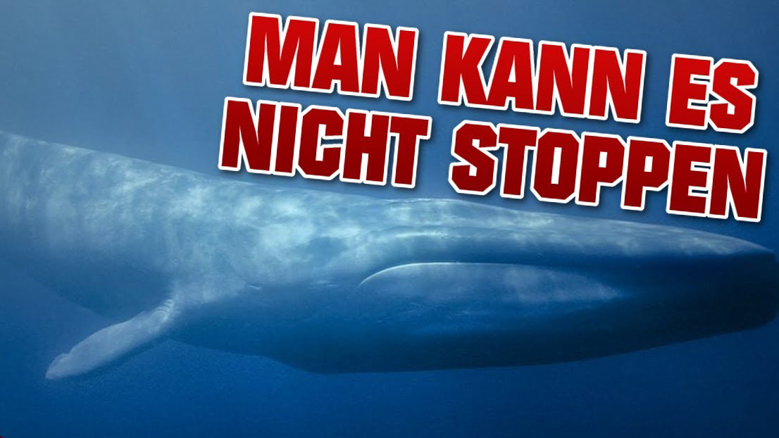 Blue Whale Challenge