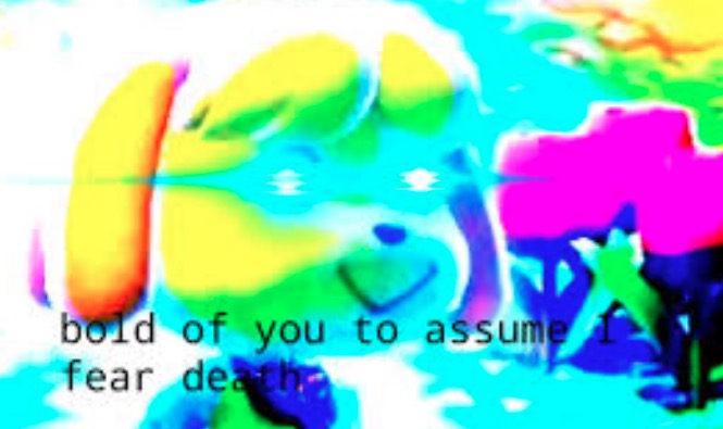 Bold of You to Assume