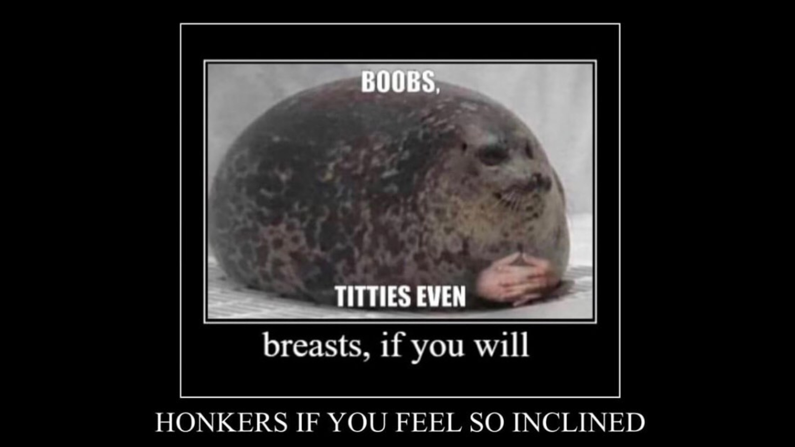 Boobs, Titties Even, Honkers If You Feel So Inclined